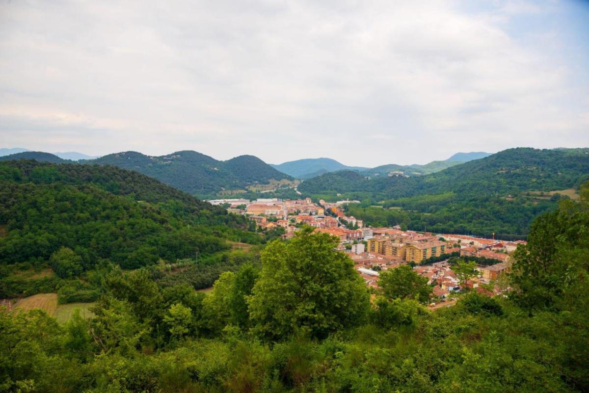 Aerial view of Olot
