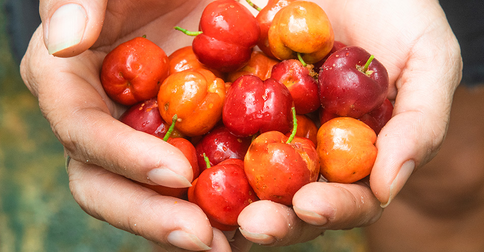 cherries