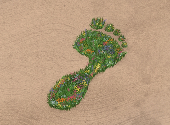 footprint of grass and flowers on a sand covered ground