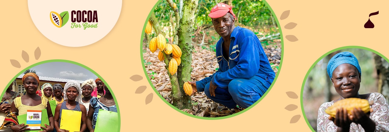 cocoa farmers