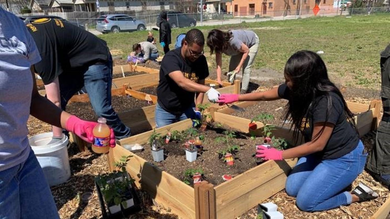 Volunteers plant in a raised garden bed