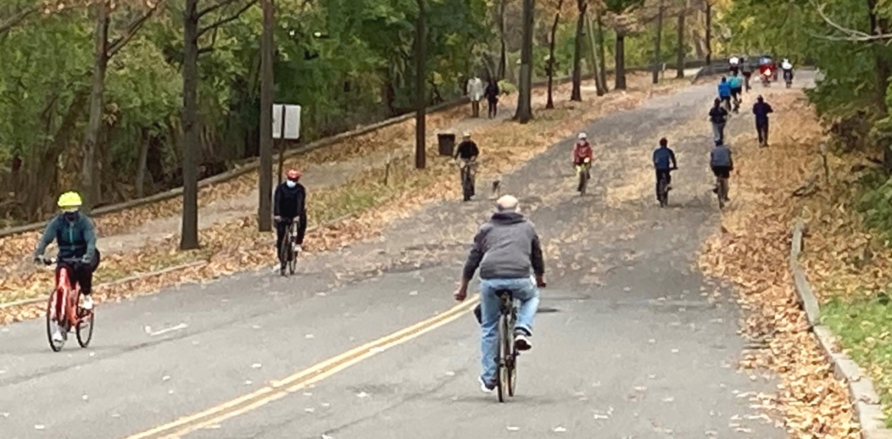 People bicycling on a path