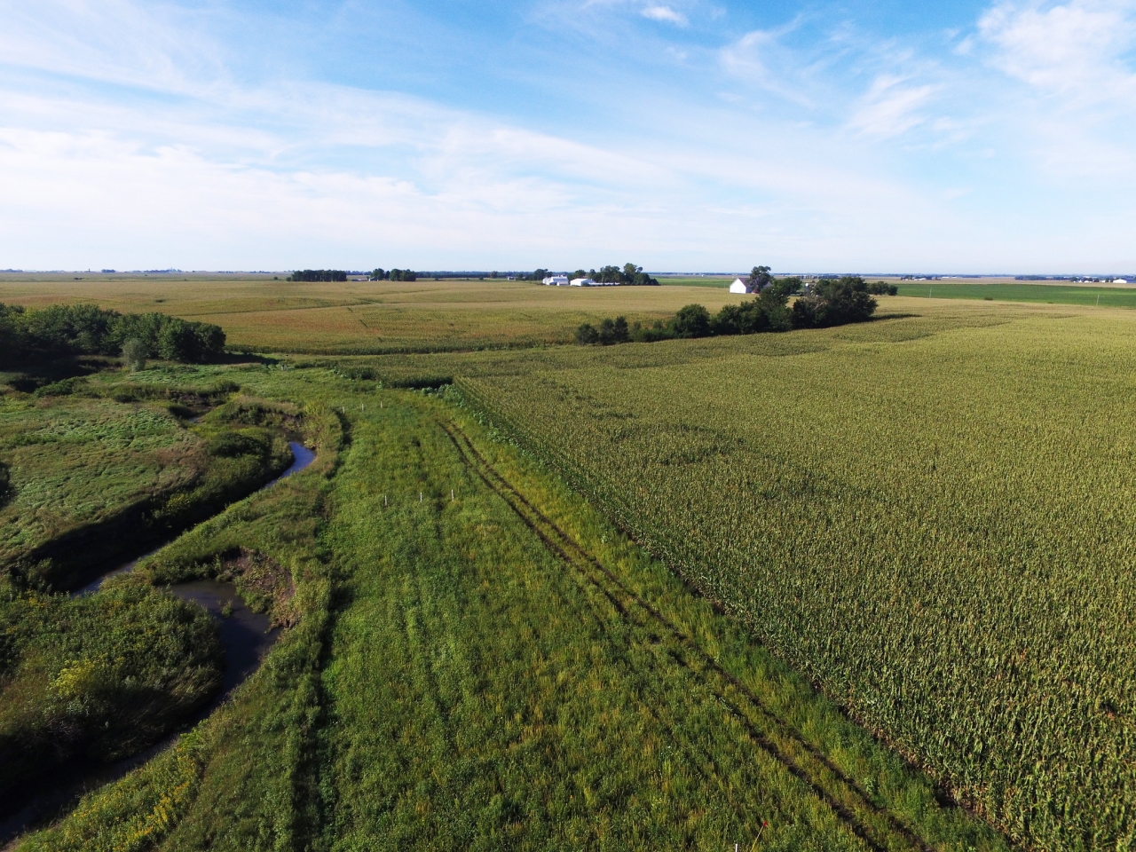 Saturated buffers are a conservation option that removes little to no land from production, require little maintenance, and does not affect crop yields when placed in ideal sites. © NRCS/SWCS photo by Lynn Betts