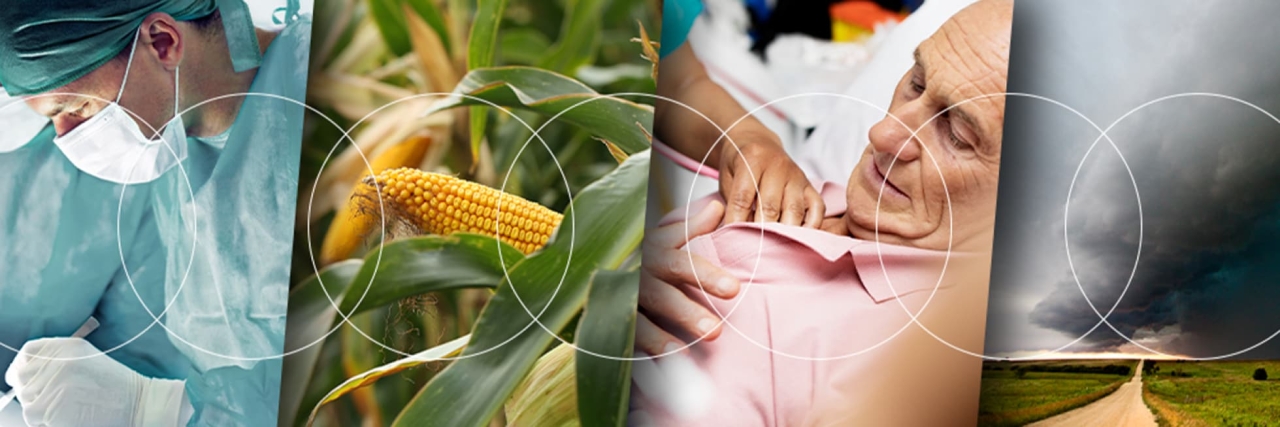 Collage of medical worker, crops and patient 