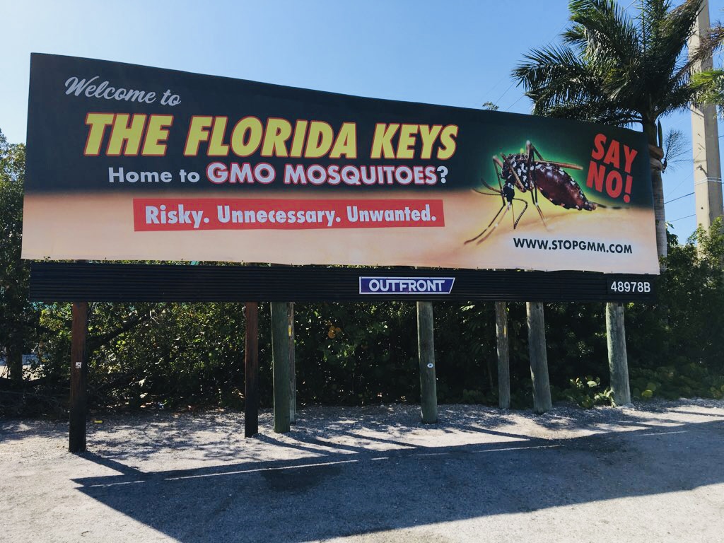 No to GMO Mosquito Billboard