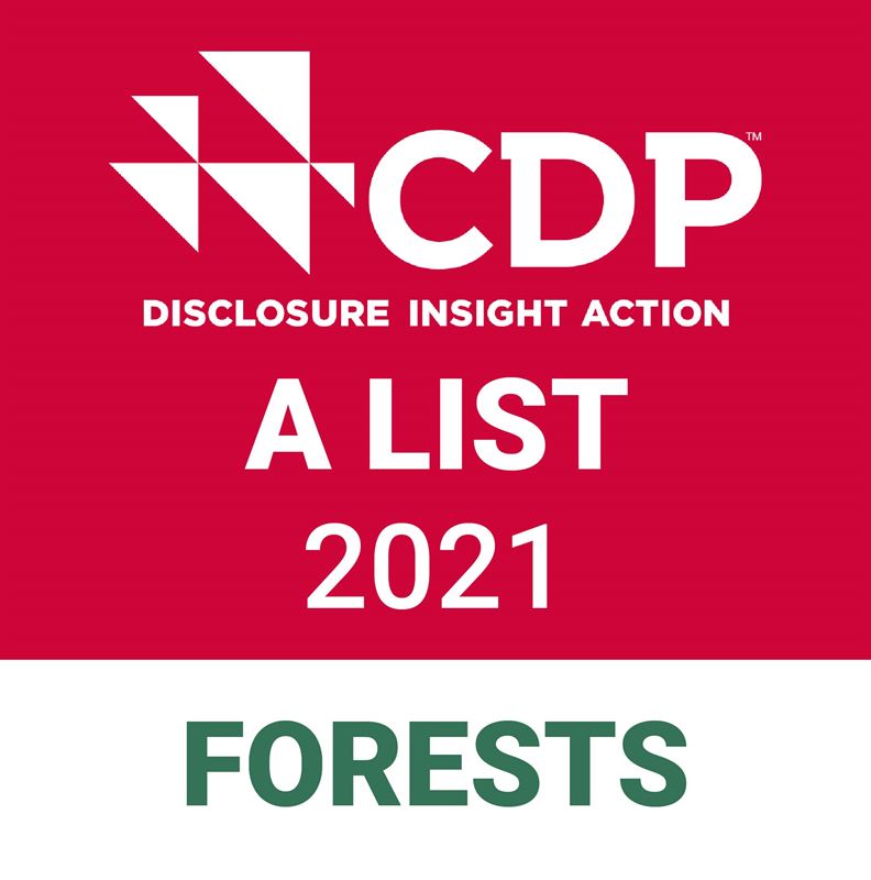 CDP a list logo 