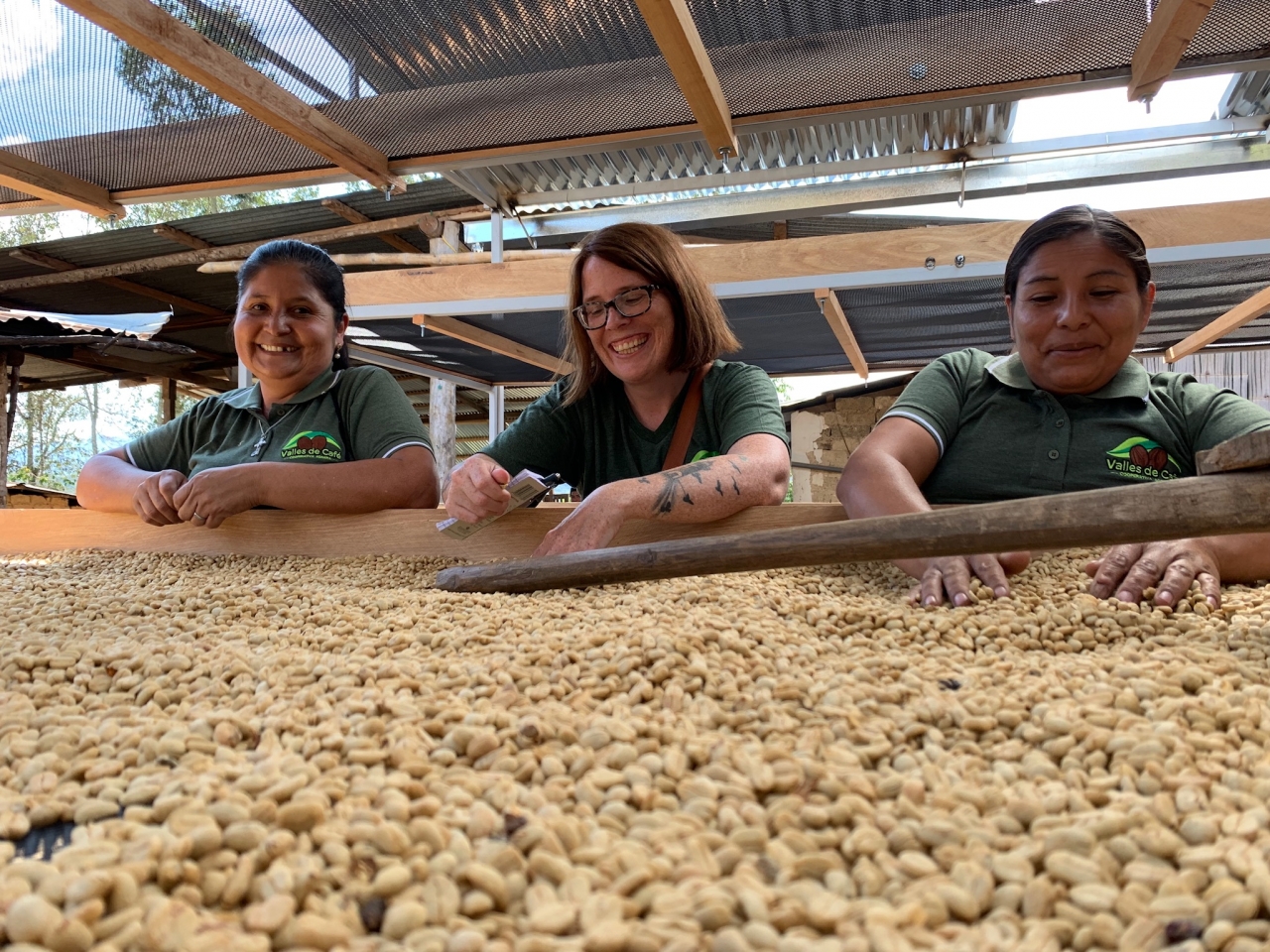 Three people sort coffee beans