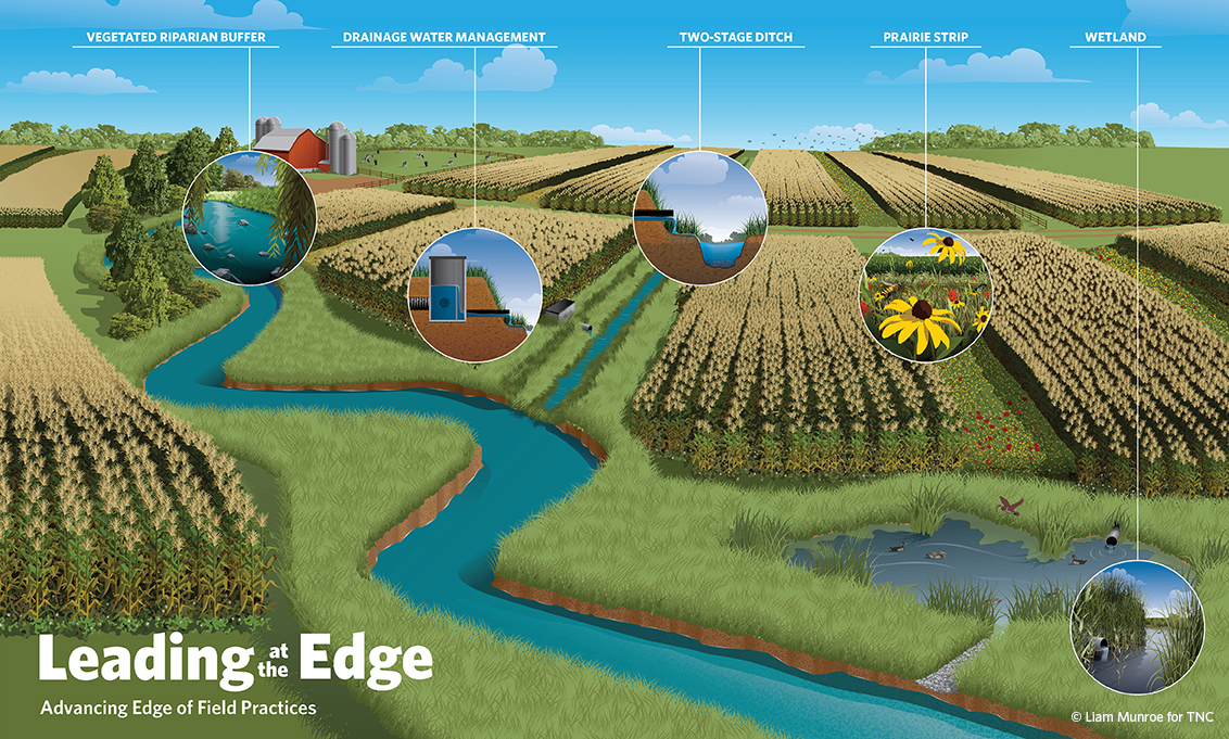 Examples of edge of field practices to better manage water and filter nutrients and sediments in runoff from fields. © Liam Munroe for TNC