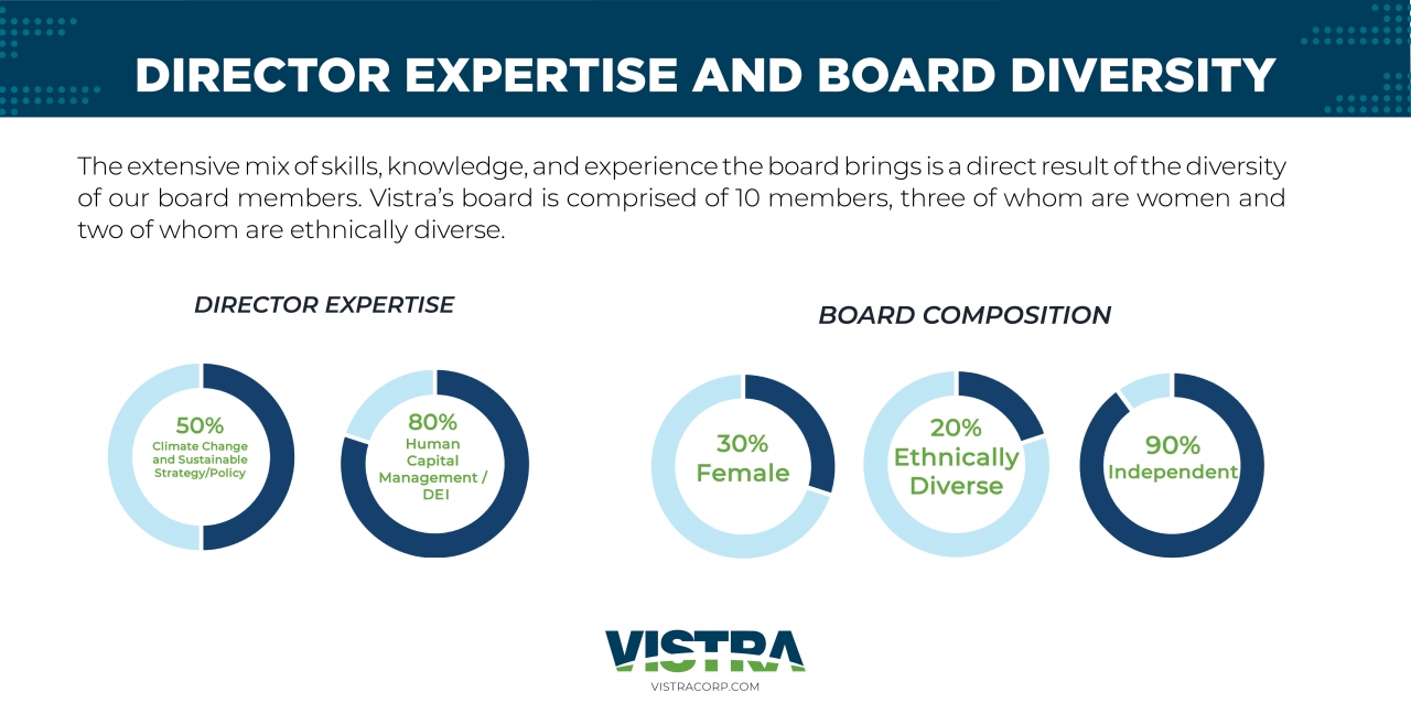 Infographic titled: Director Expertise and Board Diversity 