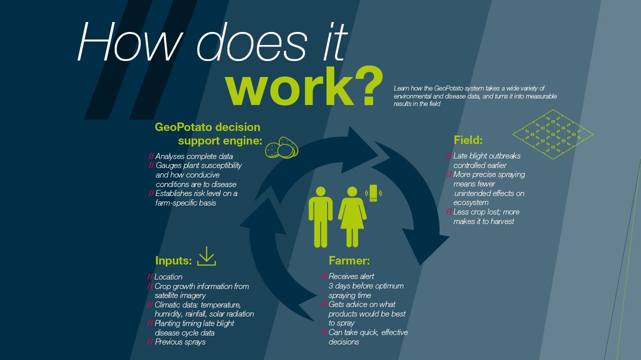 Infographic "How does it work? Learn how the geopotato system takes a wide variety of environmental and disease data, and turns it into measurable results in the field. "