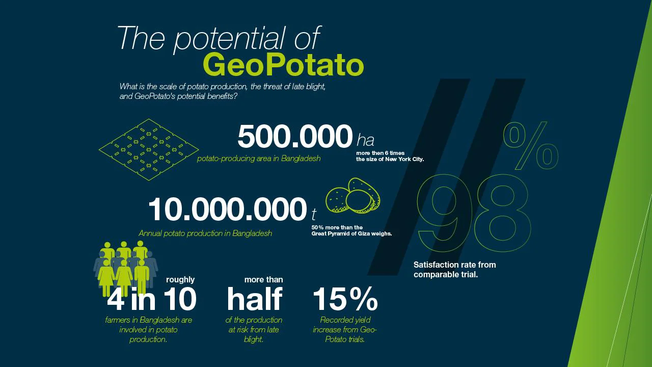 "The potential of GeoPotato, what is the scale of potato production, the threat of blight, and geopotato's potential benefits""