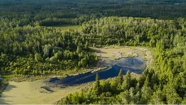 The Beaver Hills region of east-central Alberta.