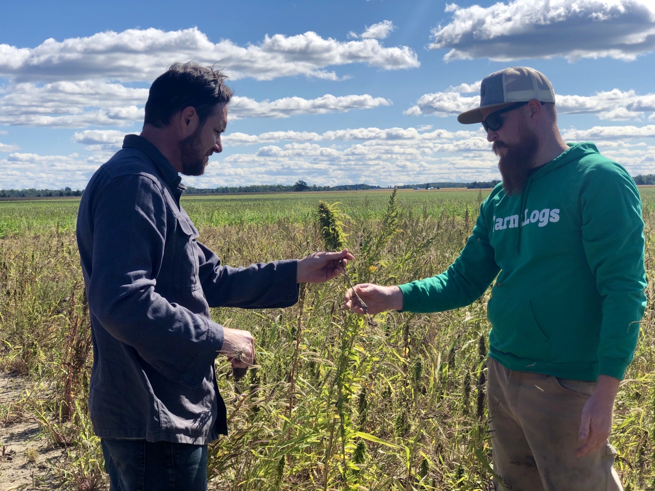 Chad Rosen (Victory Hemp Foods) and Jordan Vollmar (Vollmar Organics) at Vollmar Family Farms in Caro, Michigan..