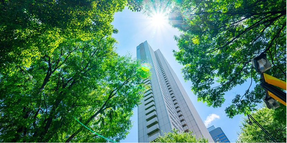 Skyscraper through the trees