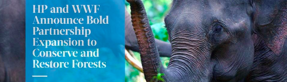 Infographic with elephant reads: HP and WWF announce bold partnership expansion to conserve and restore forests