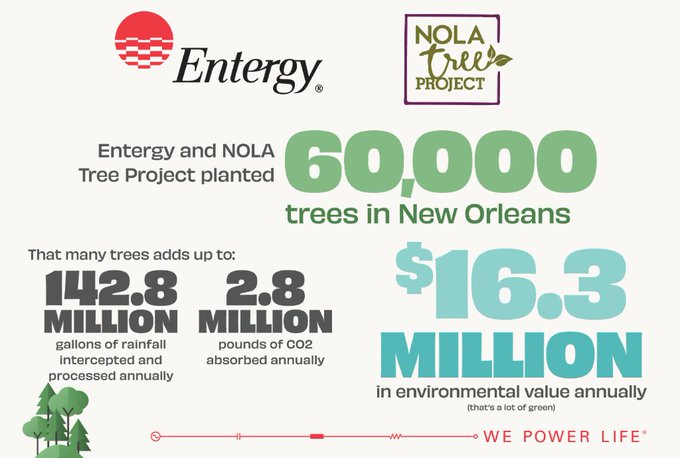 NOLA tree project infographic