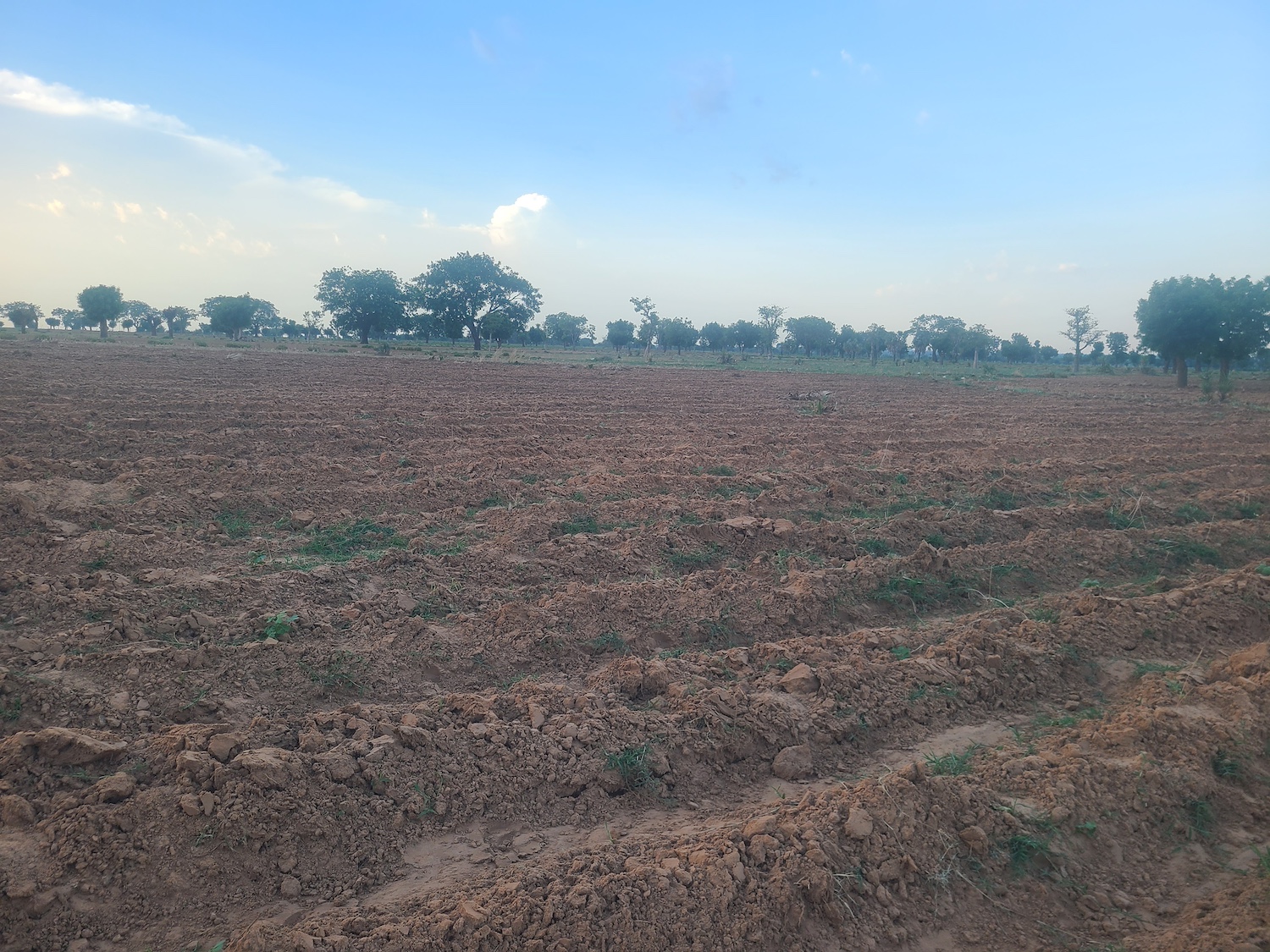 A now fertile field of soil right inside of the Wall of Trees in Makoda village — desertification