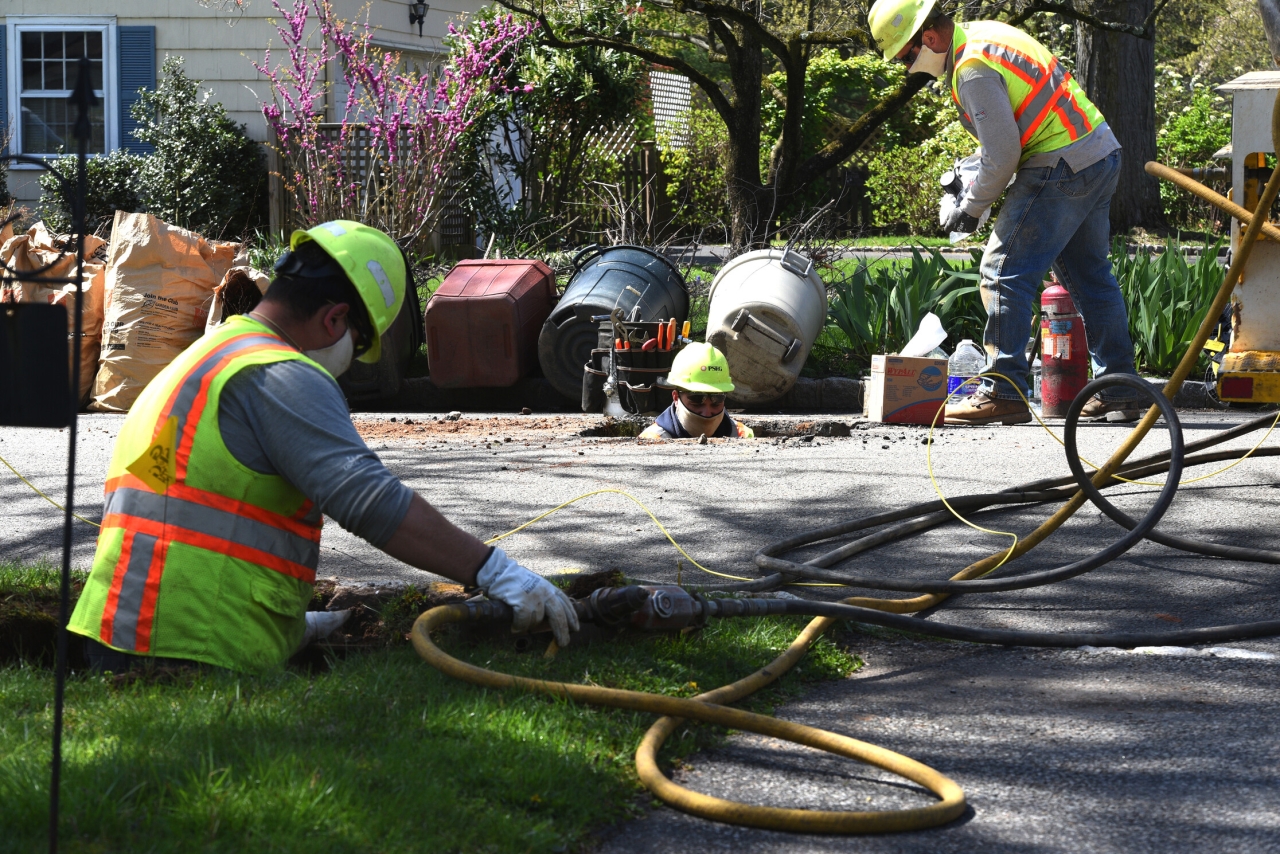 Workers working in a yard