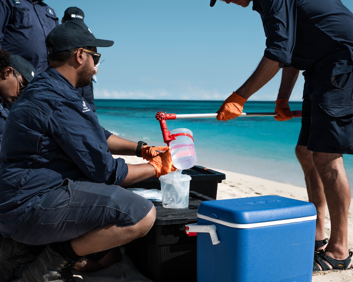 Researchers scooping up water along Australia's Ningaloo Coast to collect eDNA samples.