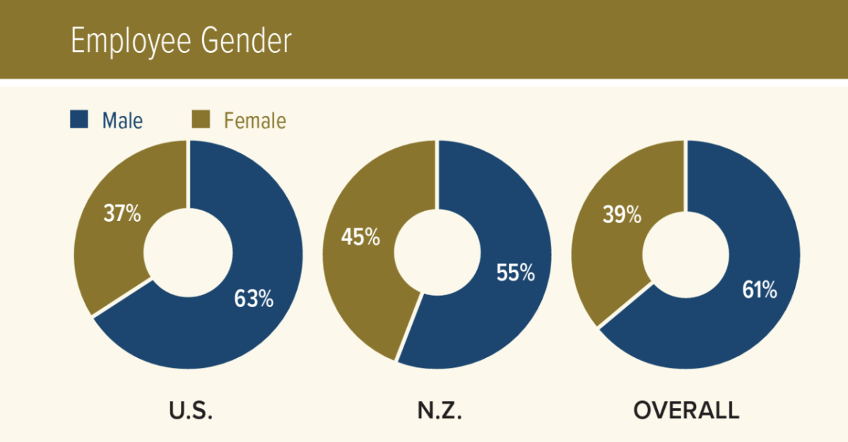 Employee gender infographic