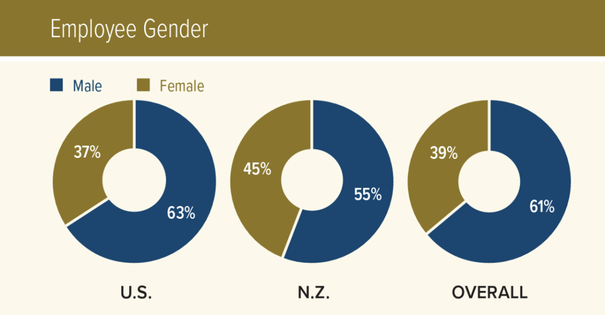 Employee by Ethnicity infographic