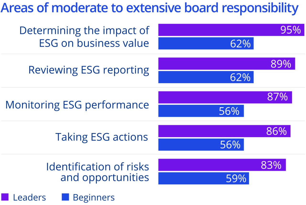 Chart: Areas of moderate to extensive board responsibility