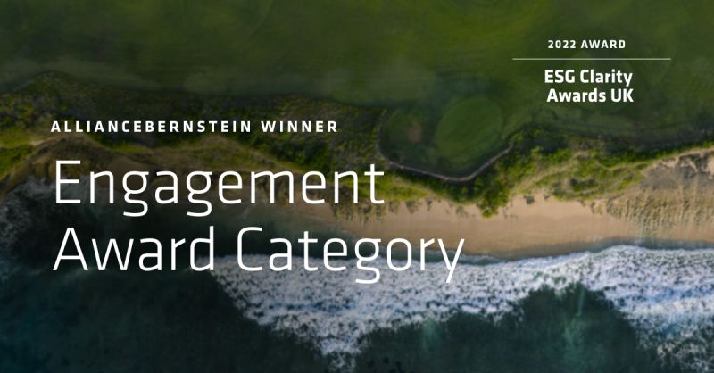 aerial view of a beach "alliancebernstein engagement award category" and "ESG clarity awards UK"