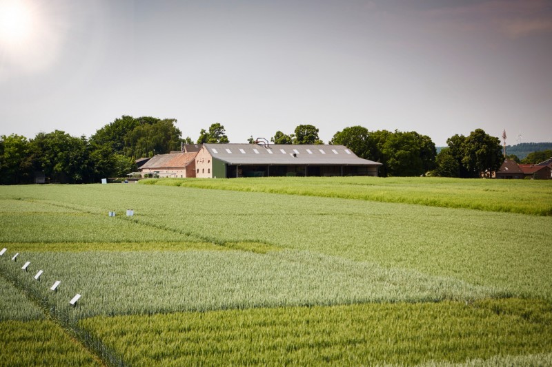 a large crop field with a building in the background