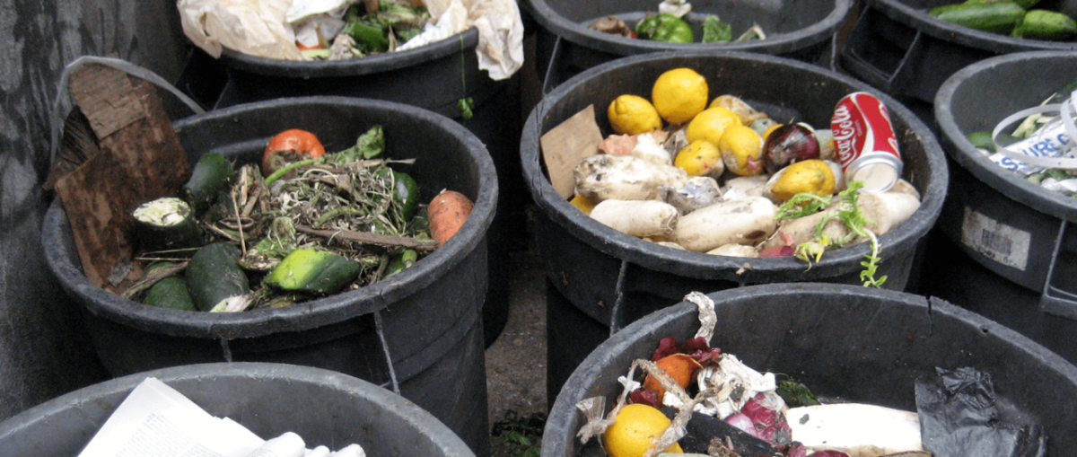 Buckets of food waste
