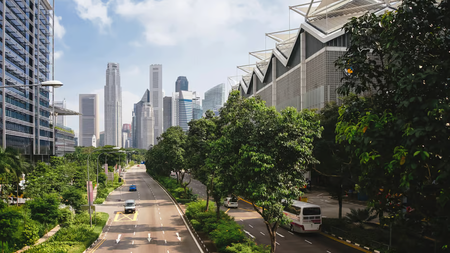 City streets lined with trees and tall buildings. Cars on each side of the multi-lane roads and skyscrapers in the distance.