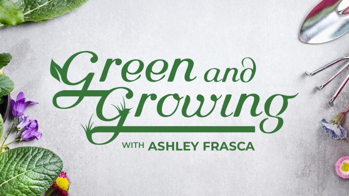 Green and Growing with Ashley Frasca