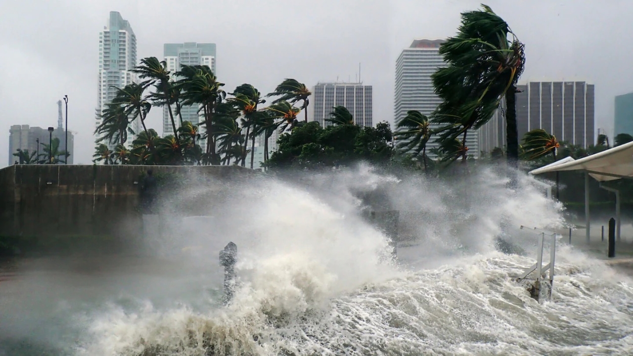 hurricane waves against a city