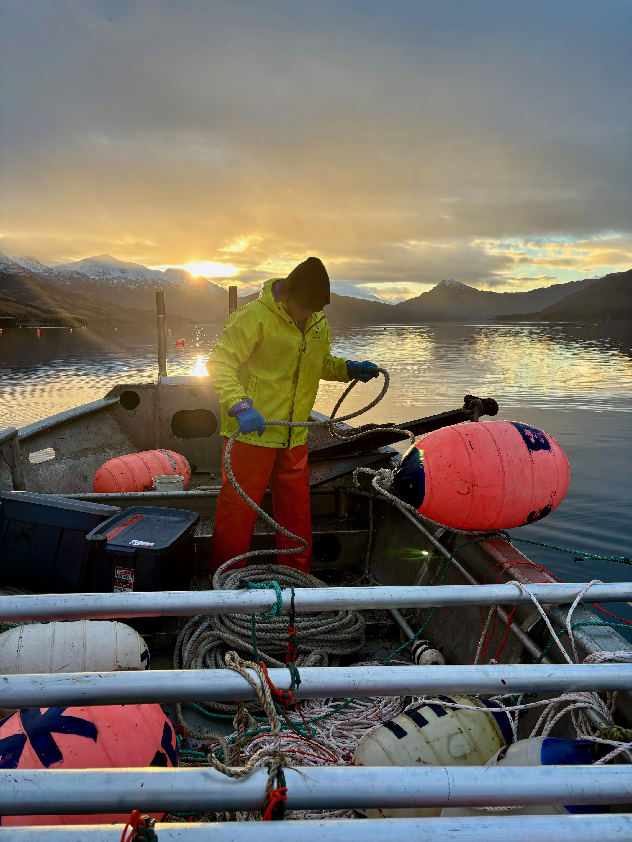 man on boat farming seaweed