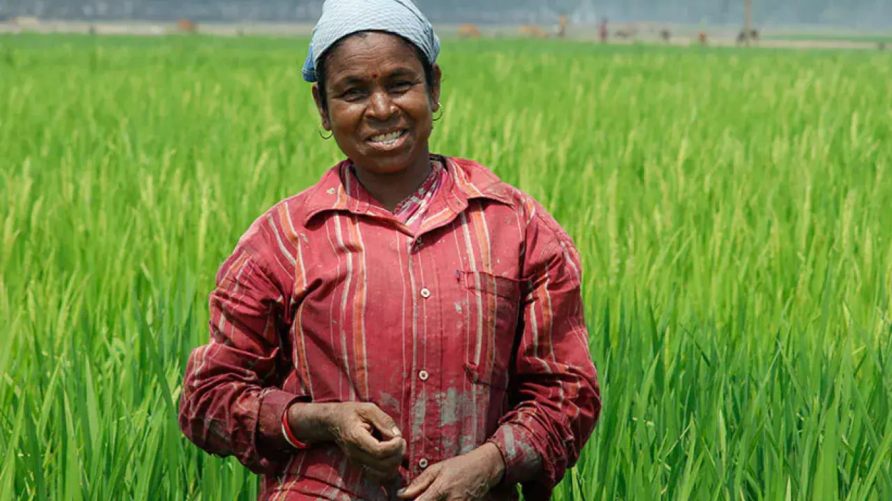 a person standing in a field in India