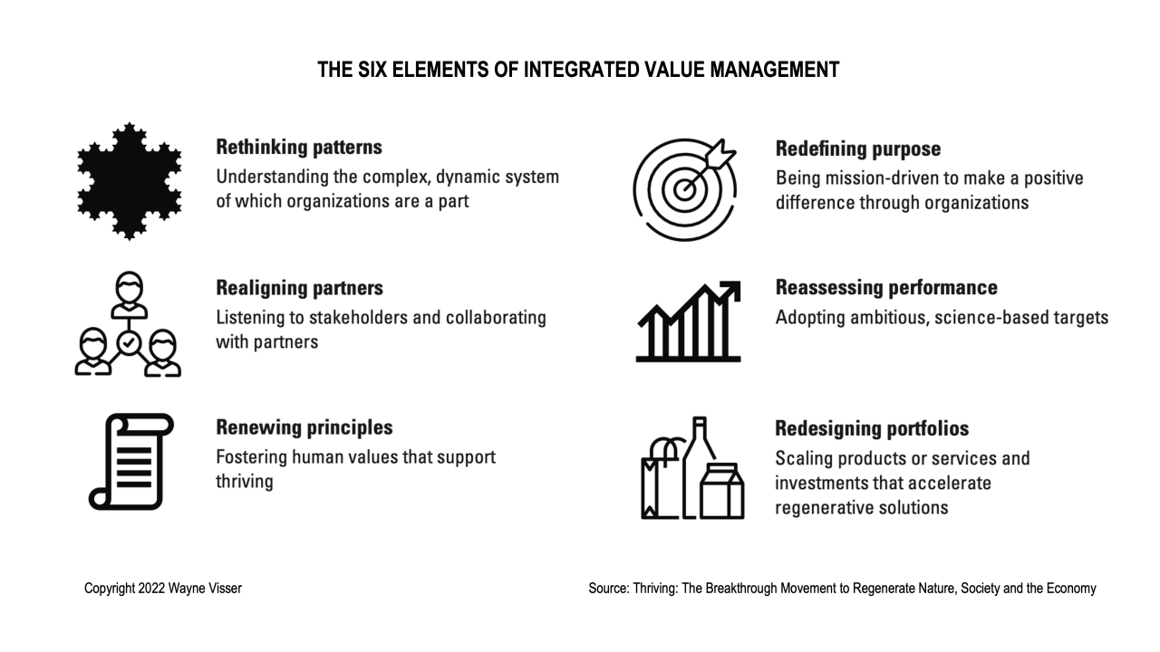 Illustrations of the six elements integrated value management