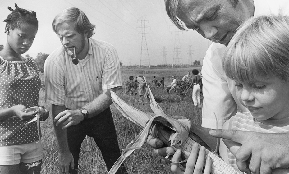 Adults and children in a field of corn, looking at the ears in pairs.