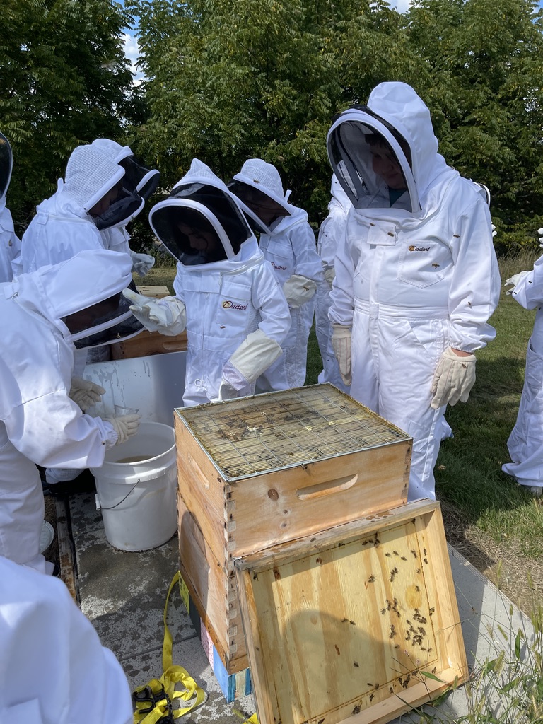People in protective bee gear, near bee hives