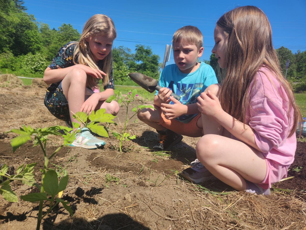 Three kids planting a seedling outside and talking