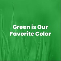 Grass with text reading: "green is our favorite color"