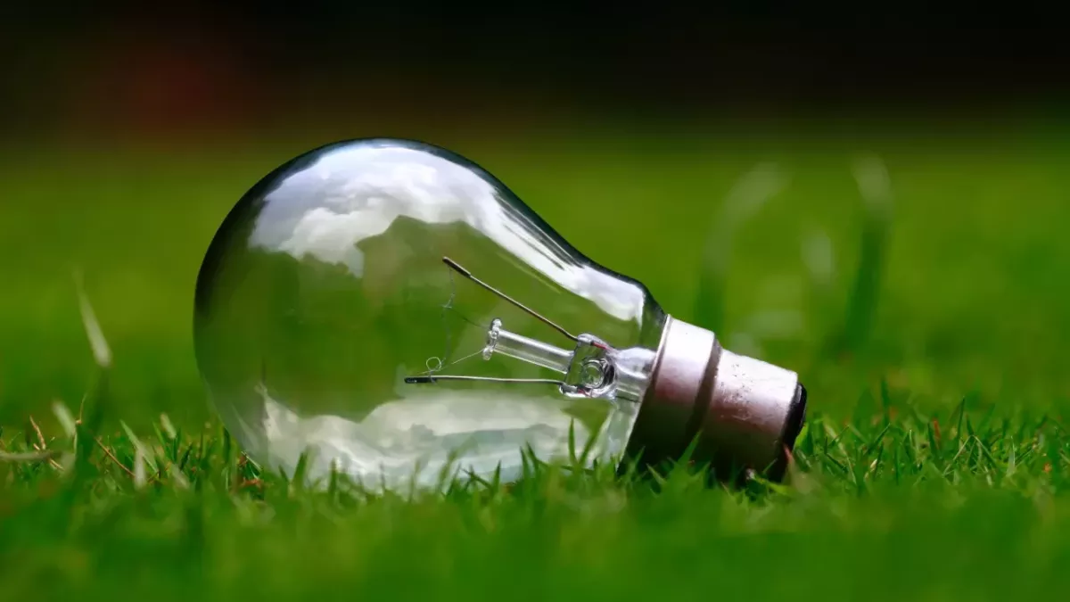 A lightbulb in grass