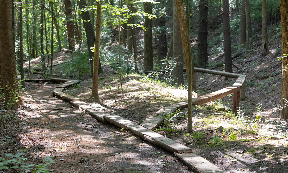 a series of wooden rails through the woods