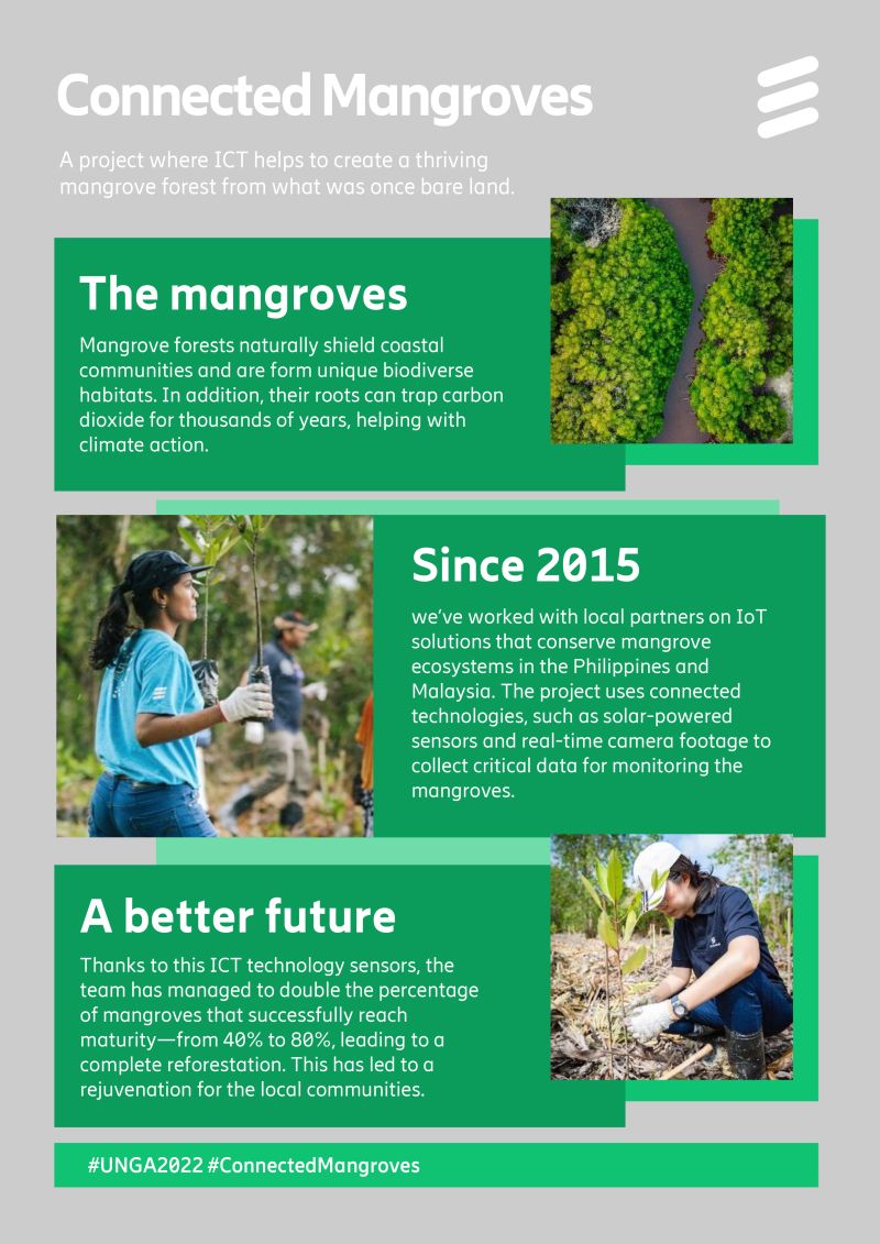 "Connected Mangroves" infographic, three subjects: The Mangroves, Since 2015, A better future.