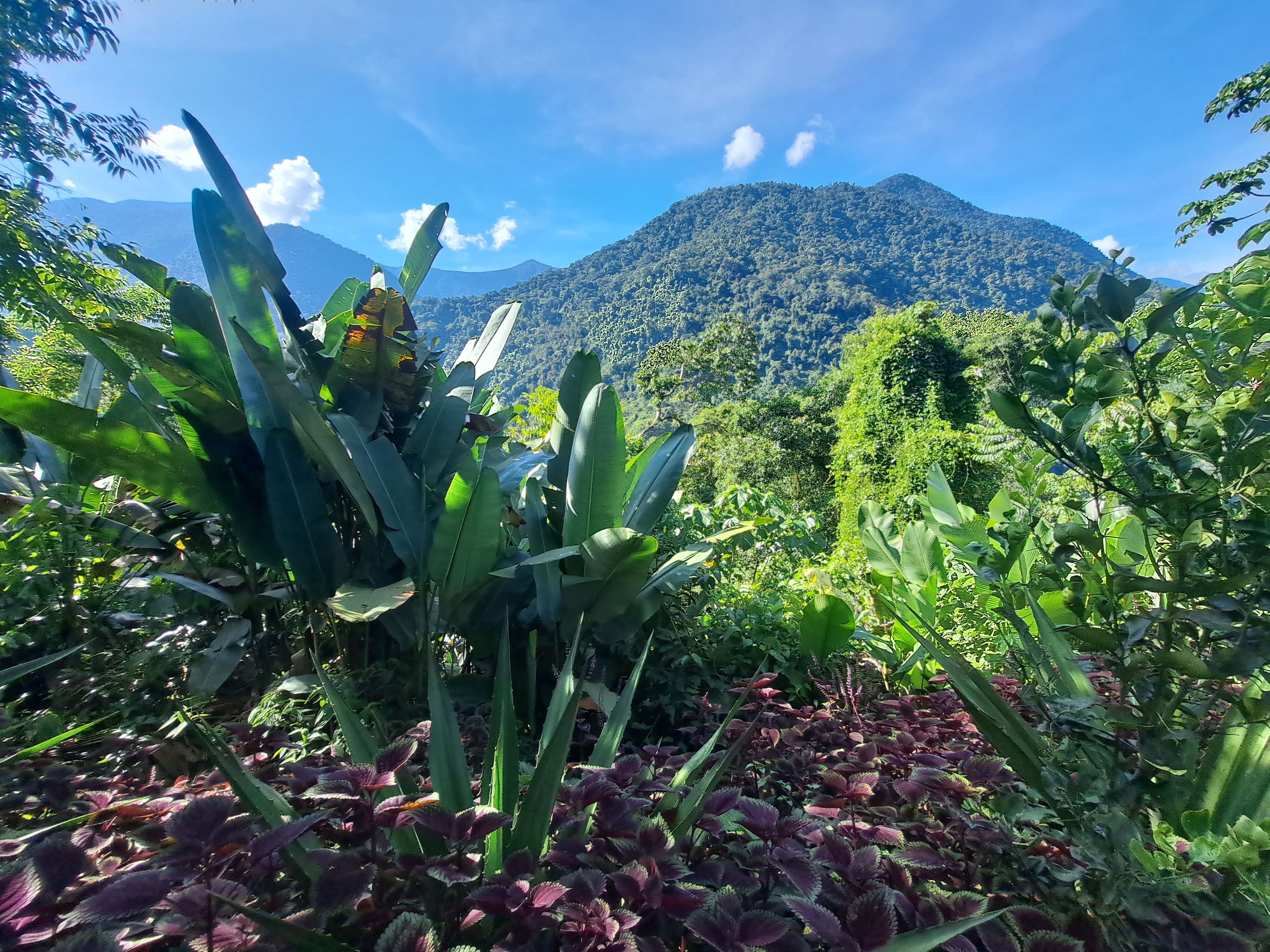 Scenery along the way toward Ciudad Perdida