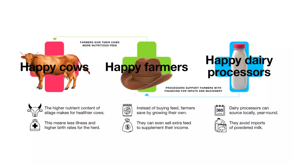Info graphic Showing the connection from Happy Cows to Happy Farmers to Happy Dairy processors.