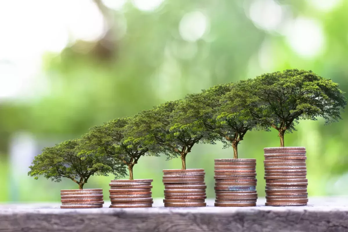 Digital imagery of small trees growing out of stacks of coins.