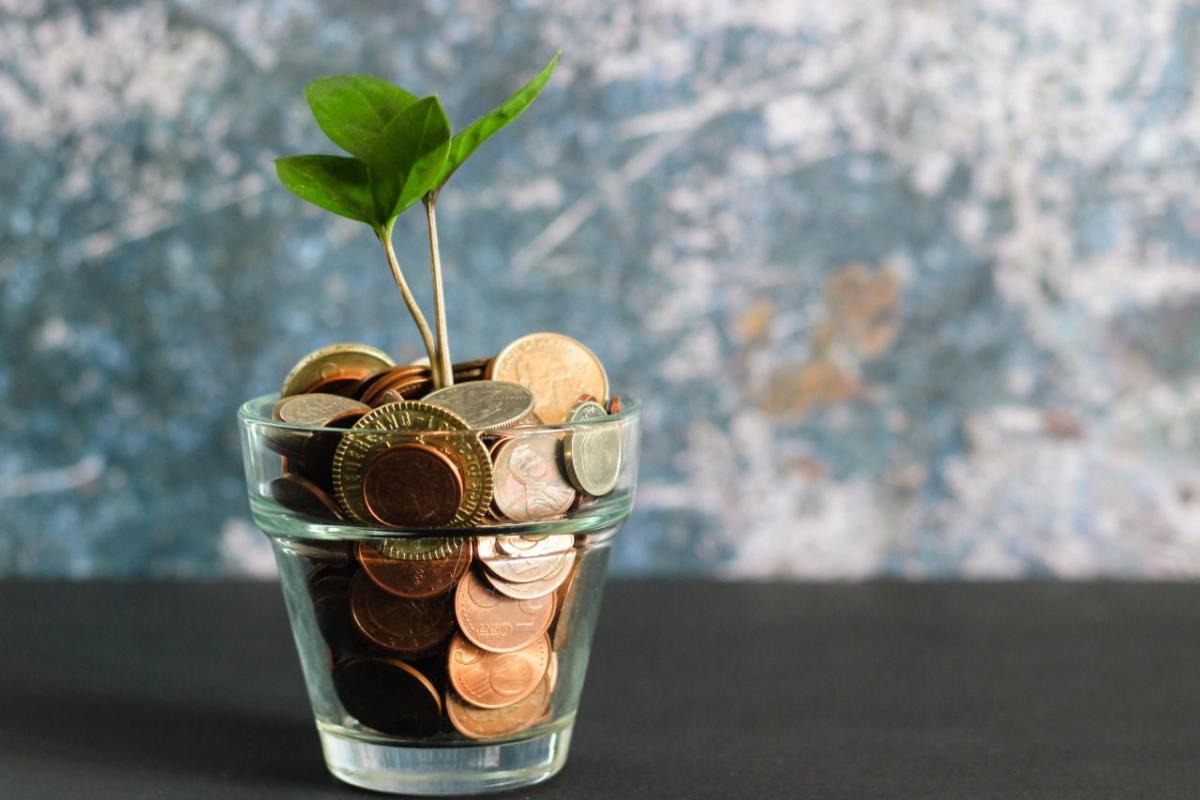 A seedling growing from a small jar of coins.