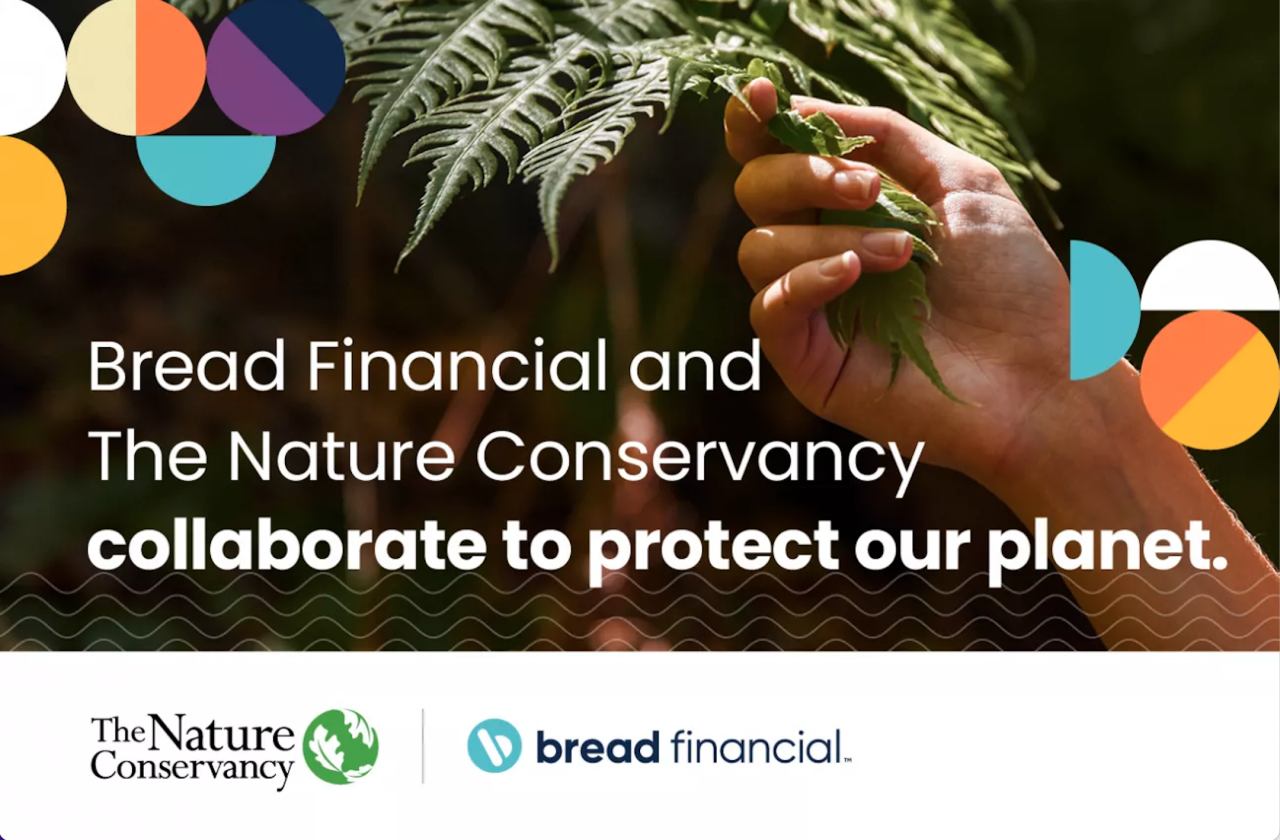 Bread Financial and The Nature Conservancy collaborate to protect our planet - with hand holding a pine branch