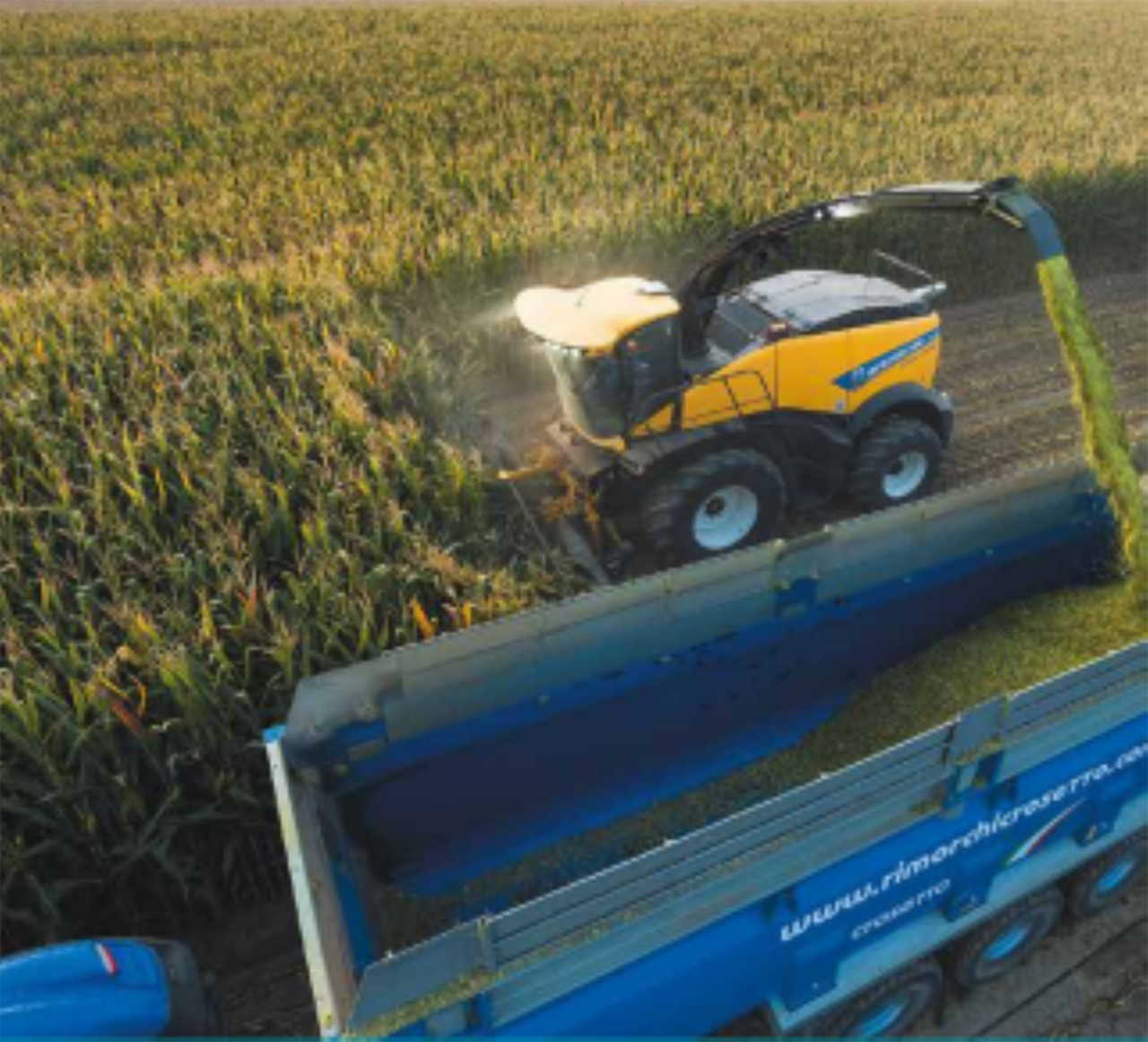 FR 650 harvester