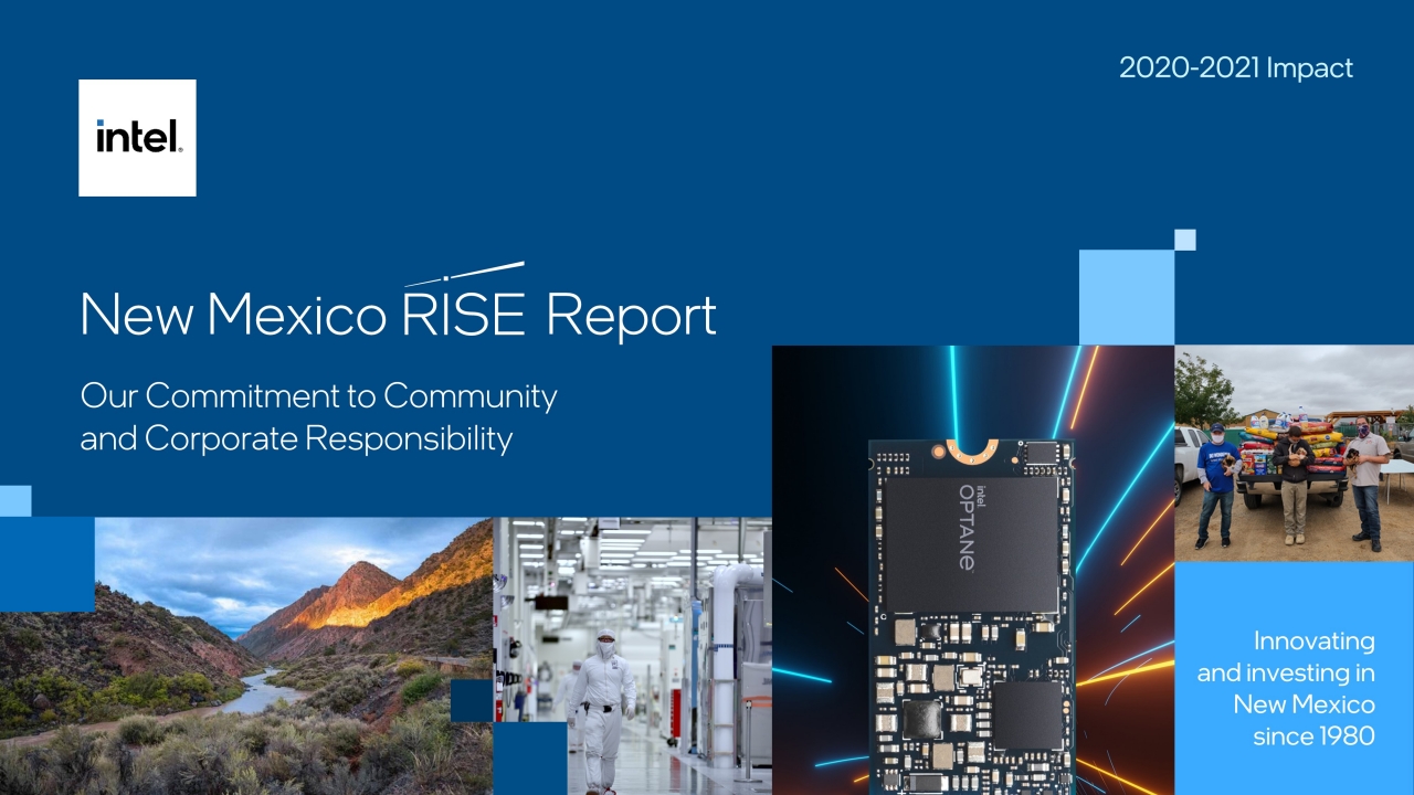 new mexico 2020 rise report