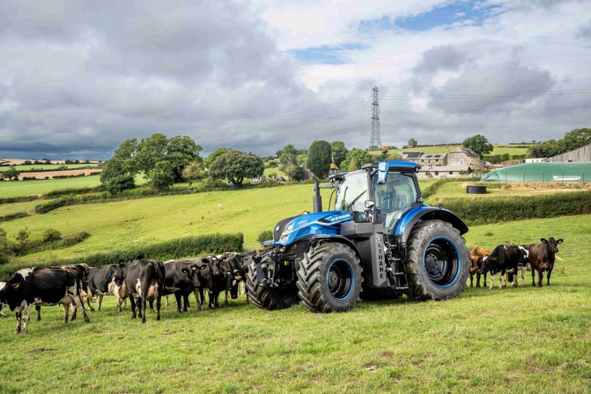 A large blue tractor in a field of cows.